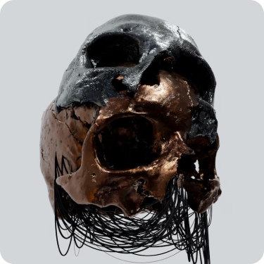 img speciality 08 Home02